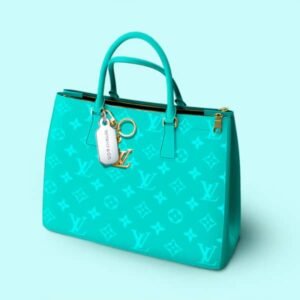Ladys Bag